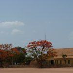 Guiné-Bissau (40)